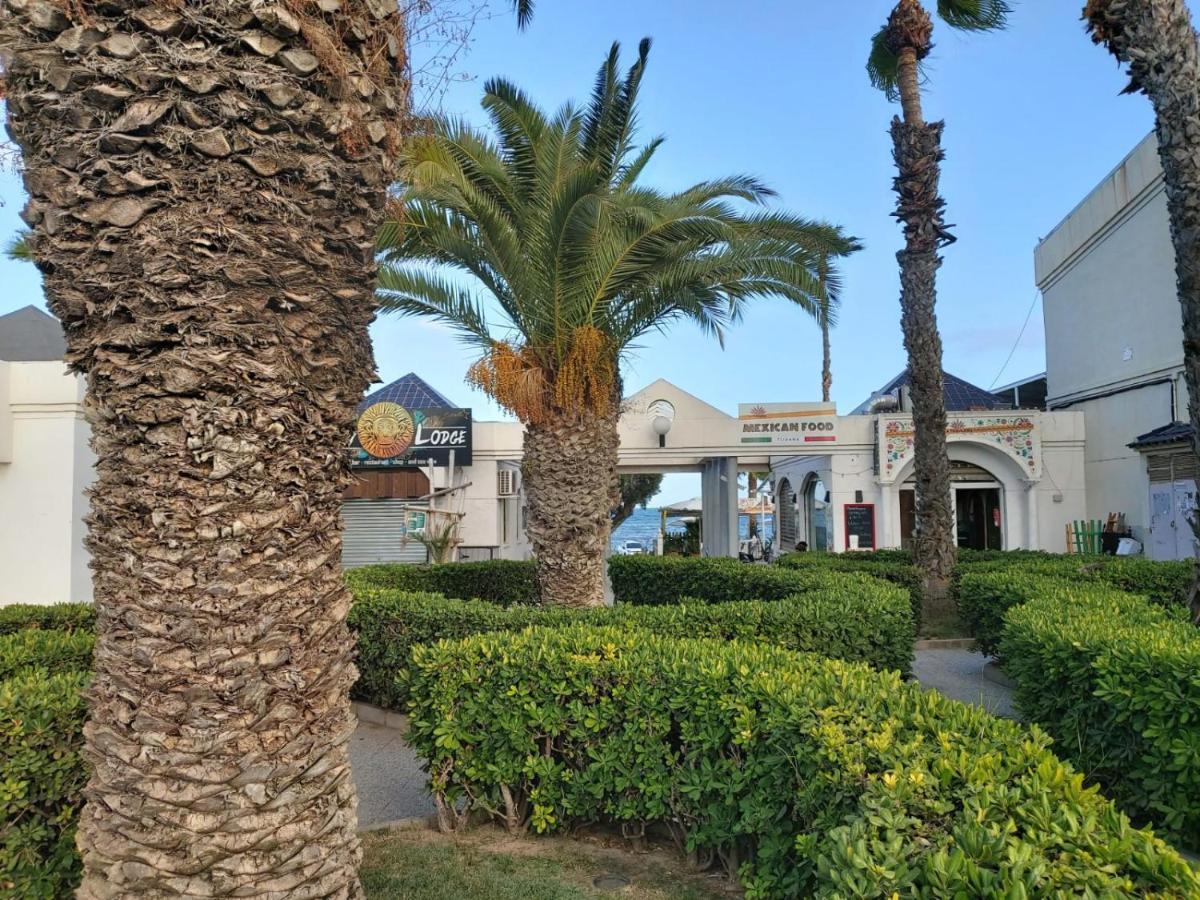Villa Amalia 5 Torrevieja Exterior photo